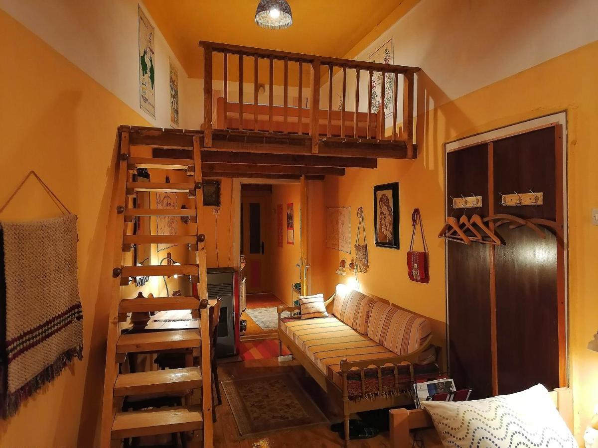 Base For Adventurers - Urban Guerrilla Hotel Negotin Bagian luar foto